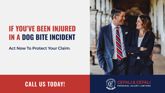 Dog bite attorney in Pleasant Hill helping a client recover compensation for bite injuries