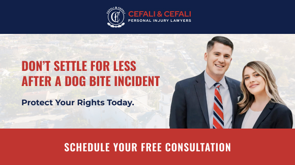 Pleasant Hill dog bite lawyer explaining what a dog bite case is worth